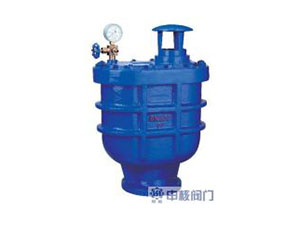 CARX复合式排气阀